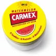 Carmex Lip Balm Watermelon      