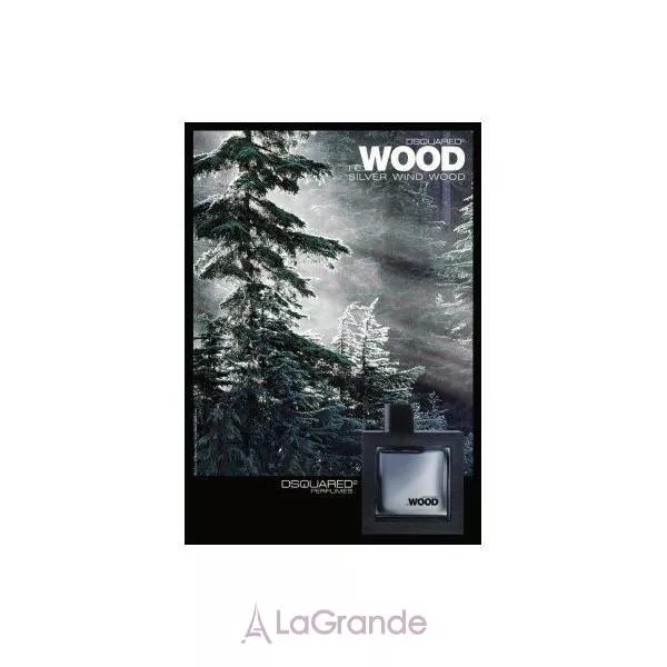 DSquared2 He Wood Silver Wind Wood ��������� ����