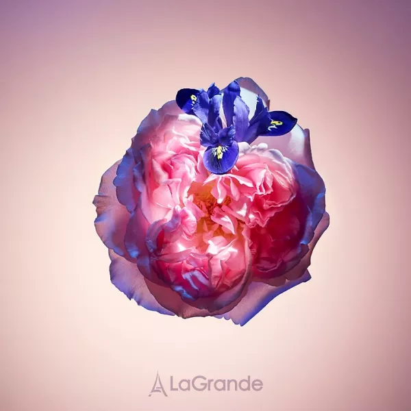 Louis Vuitton Rose des Vents ����������� ���� (�������)