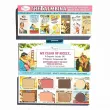 theBalm The Balmbina Babies Of theBalm Palette   