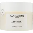 Sachajuan Scalp Scrub    