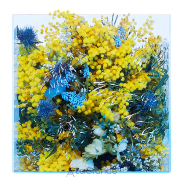 Les Eaux Primordiales Mimosa Supercritique ��������������� ���� (����)