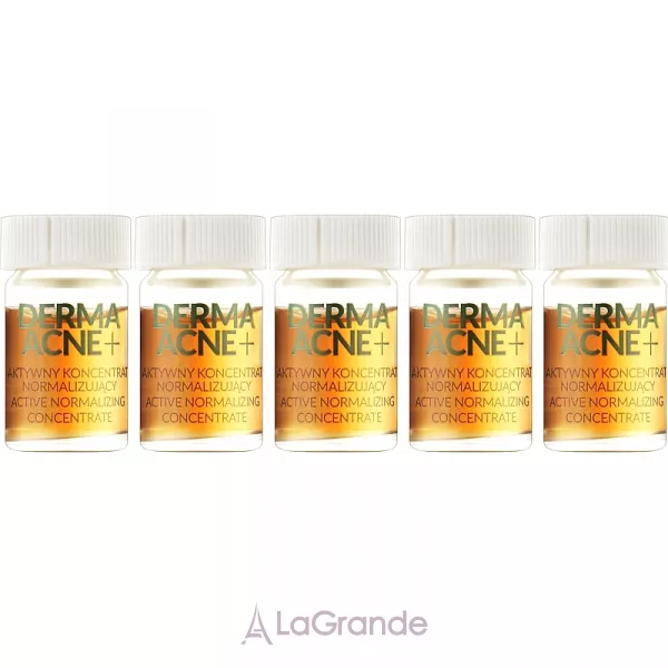 Farmona Professional Dermaacne+ Active Normalizing Concentrate �������� ������������� ����������