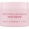 Nacomi Zero Pore & Blemishes Face Cream      