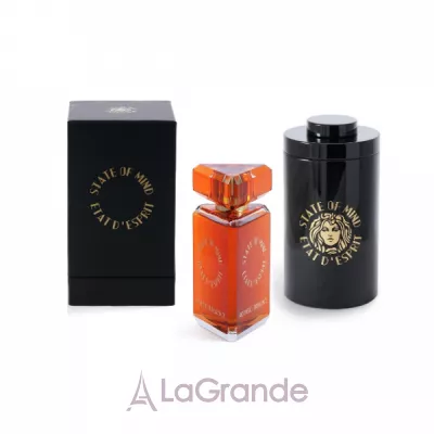 State of Mind Aesthetic Turbulence  