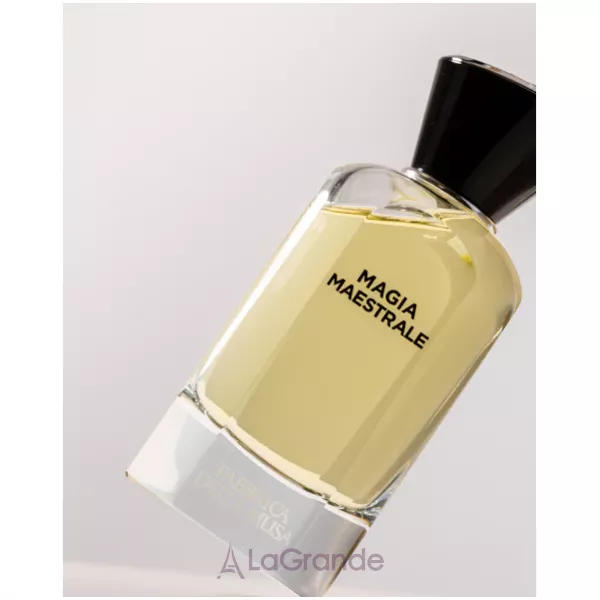 Fabbrica Della Musa Magia Maestrale ��������������� ���� (������)