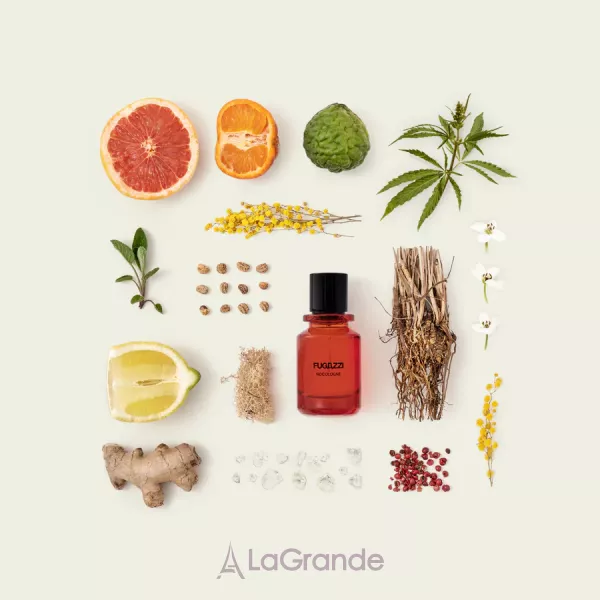 Fugazzi NoCologne ���� (������)