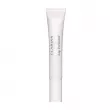 Clarins Lip Perfector   