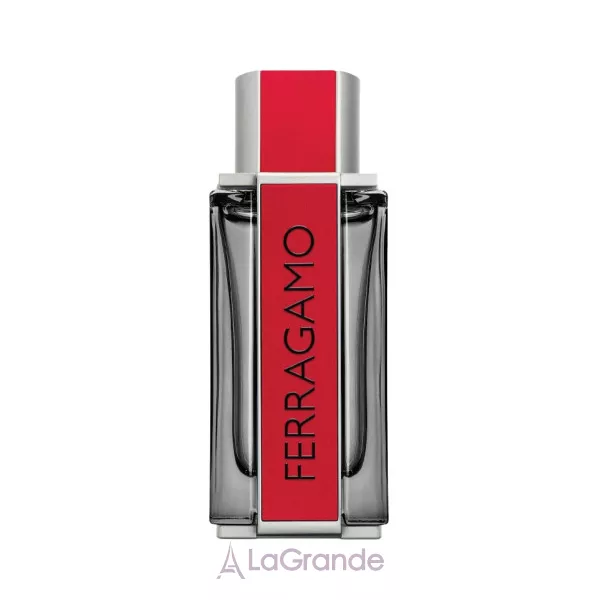 Salvatore Ferragamo Ferragamo Red Leather ��������������� ���� (������)