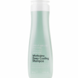 Daeng Gi Meo Ri Look At Hair Loss Minticcino Deep Cooling Shampoo 500ml