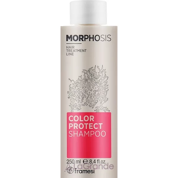 Framesi Morphosis Color Protect Shampoo ������� ��� ���������� �����