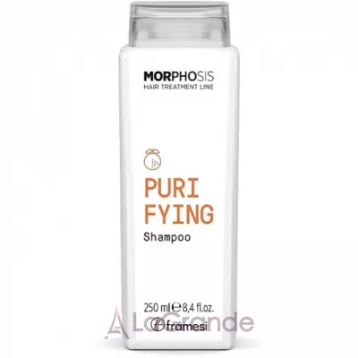Framesi Morphosis Purifying Shampoo       