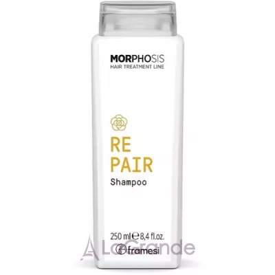 Framesi Morphosis Repair Shampoo     