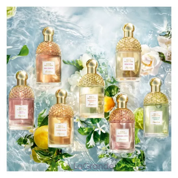 Guerlain Aqua Allegoria Mandarine Basilic �������� ����