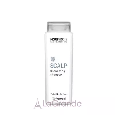 Framesi Morphosis  Scalp Cleansing Shampoo     