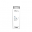 Framesi Morphosis  Scalp Cleansing Shampoo 250ml
