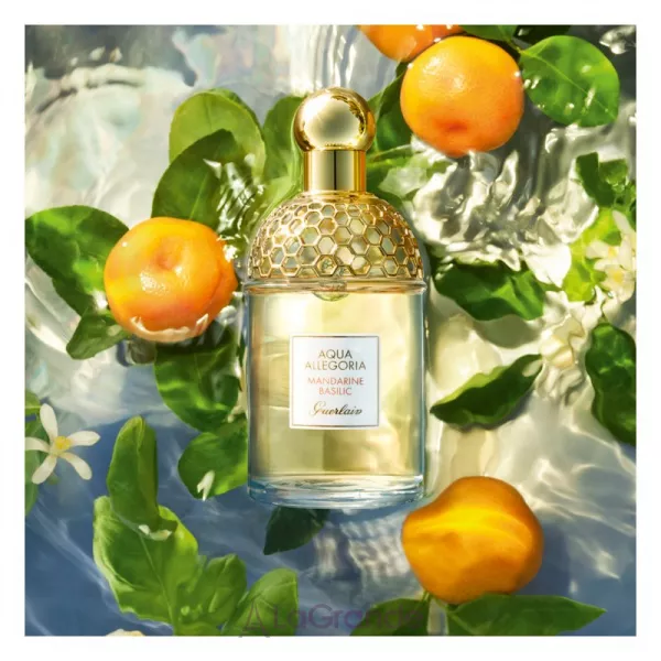Guerlain Aqua Allegoria Mandarine Basilic ��������� ���� (������)