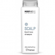 Framesi Morphosis Destress Shampoo 250ml