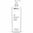 Framesi Morphosis Destress Shampoo ������� ��� �������������� ���� ������