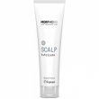 Framesi Morphosis Scalp Exfoliate 150ml