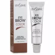 LeviSsime Eye Brow Color   