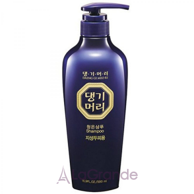 Daeng Gi Meo Ri ChungEun Shampoo For Oily Scalp      