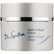 Dr. Spiller Hydro Collagen Cream    