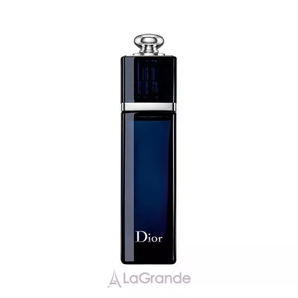 Christian Dior Dior Addict ����������� ���� (������)