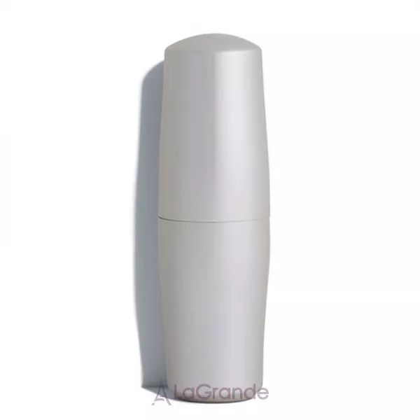Shiseido The Skincare Protective Lip Conditioner �������� �������������� ���� ��� ���