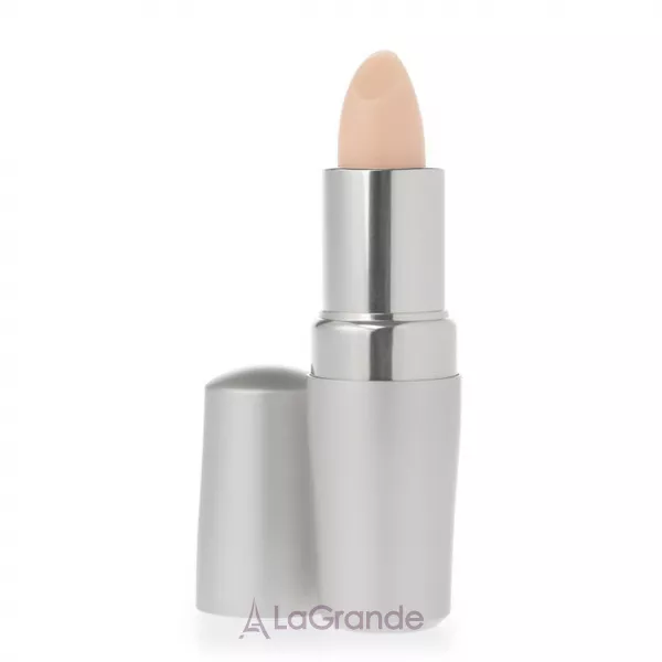 Shiseido The Skincare Protective Lip Conditioner �������� �������������� ���� ��� ���