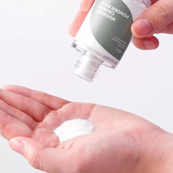 Isntree Mugwort Powder Wash �������� ����� ��� �������� � ���������� ������