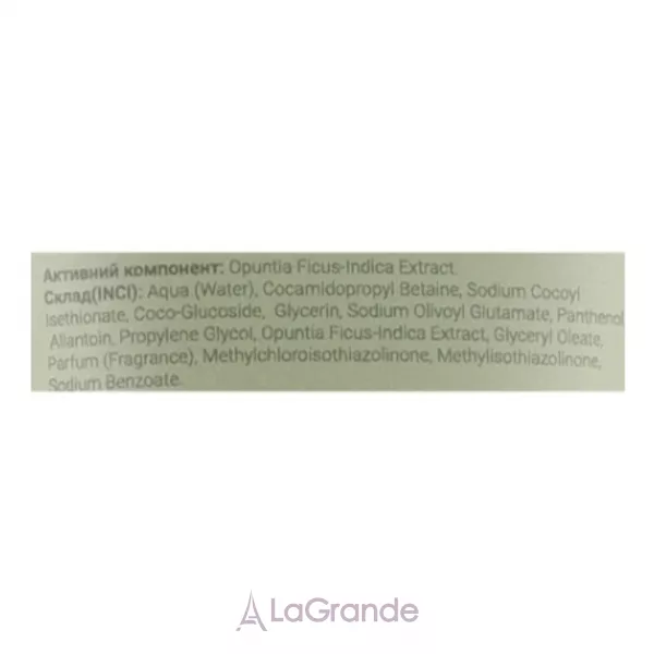 ArtAroma Urban Jungle ���� ��� ���� 