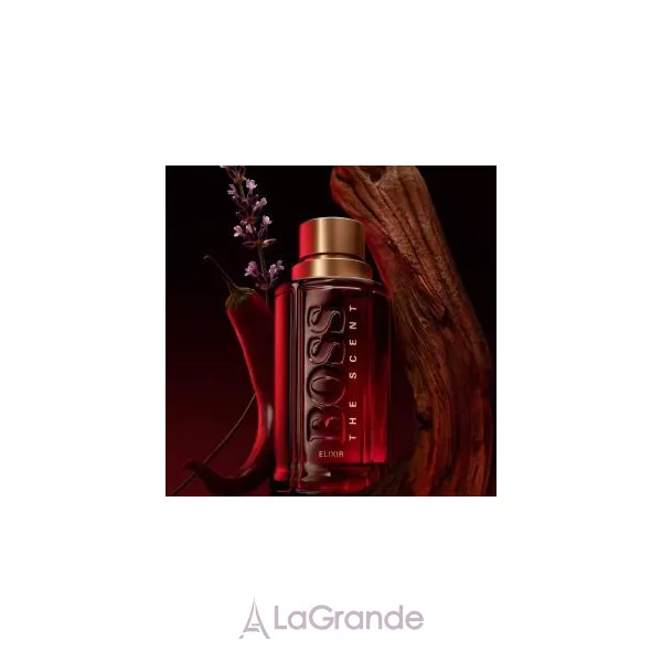 Hugo Boss Boss The Scent Elixir For Him ����