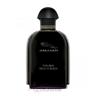 Jaguar  Gold in Black for Men   ()