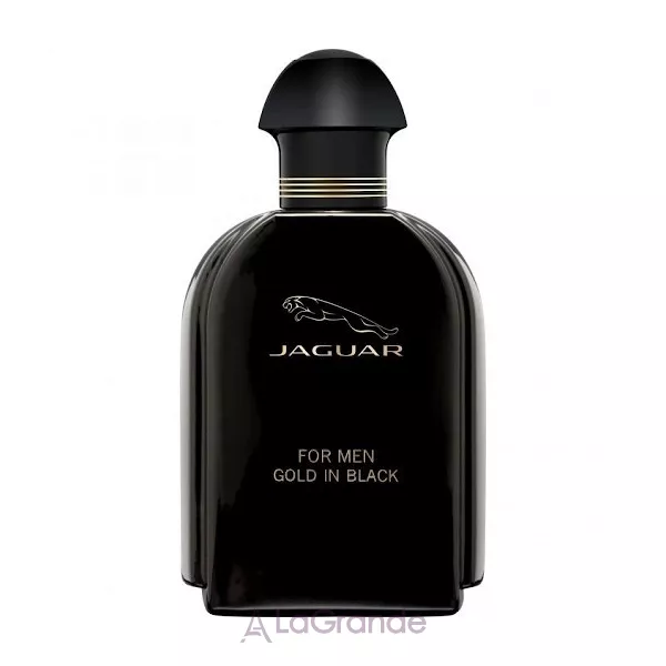 Jaguar  Gold in Black for Men �������� ���� (������)