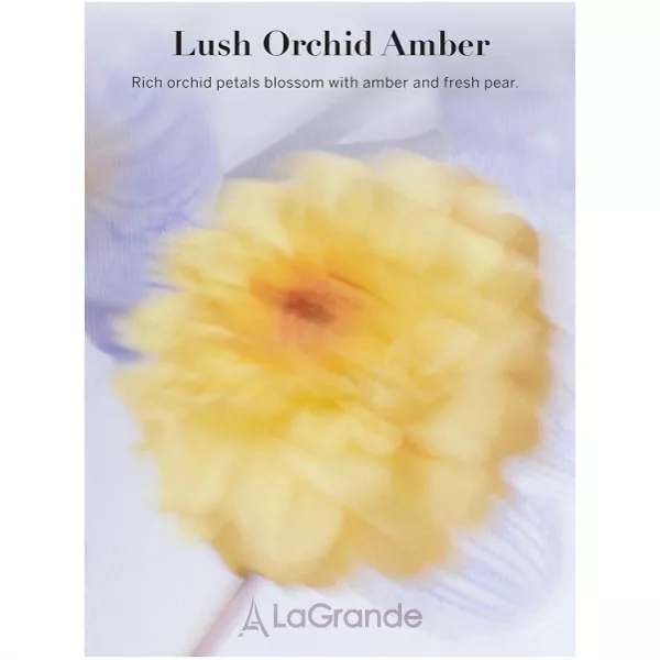 Victoria`s Secret Lush Orchid Amber ������������ ����� ��� ���