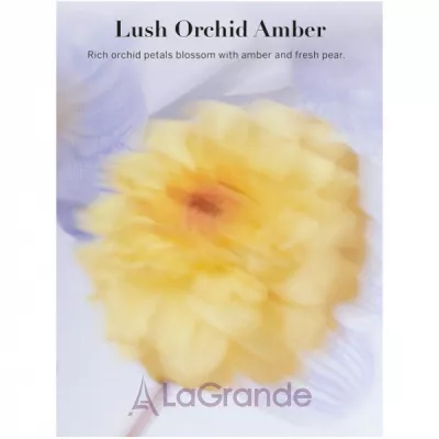 Victoria`s Secret Lush Orchid Amber    