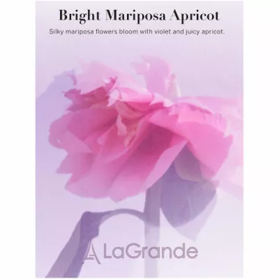 Victoria`s Secret Bright Mariposa Apricot    