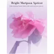 Victoria`s Secret Bright Mariposa Apricot    