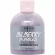 Hollyskin Bilberry Bubbles Hands & Body Wash 300ml