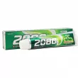 Dental Clinic 2080 Salted Toothpaste Green Tea Toothpaste  