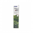 Dental Clinic 2080 Salted Toothpaste Green Tea Toothpaste 120g