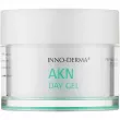 Innoaesthetics Akn Day Gel          