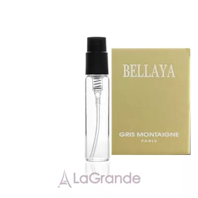 Gris Montaigne Paris Bellaya   ()