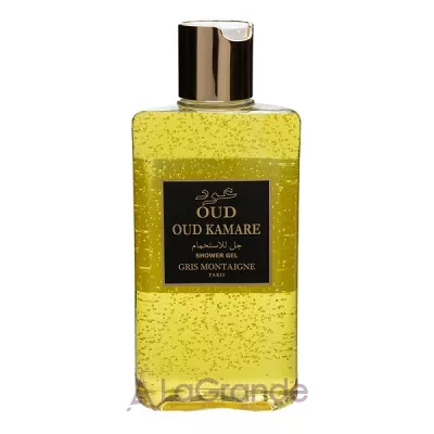 Gris Montaigne Paris Oud Kamare   