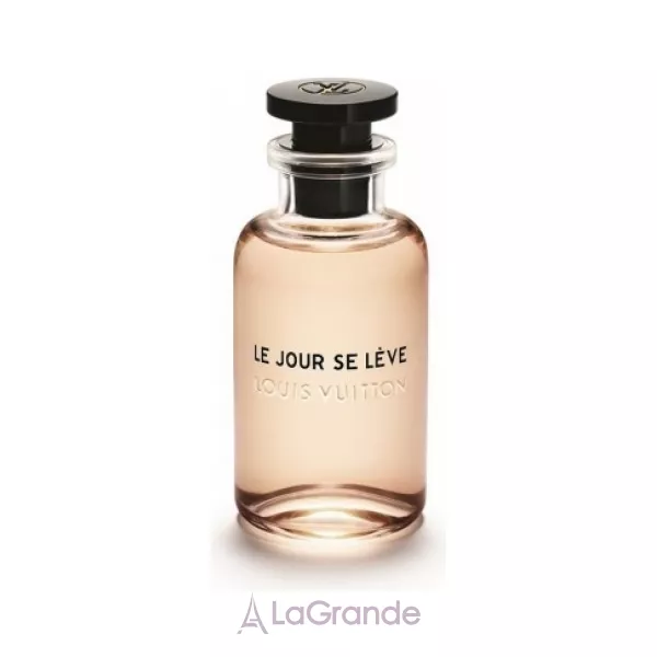 Louis Vuitton Le Jour Se Leve ����������� ���� (������)