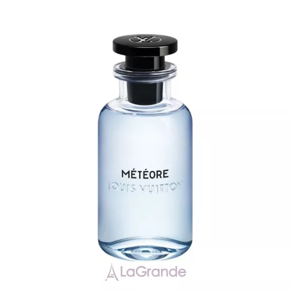 Louis Vuitton Meteore ����������� ���� (������)