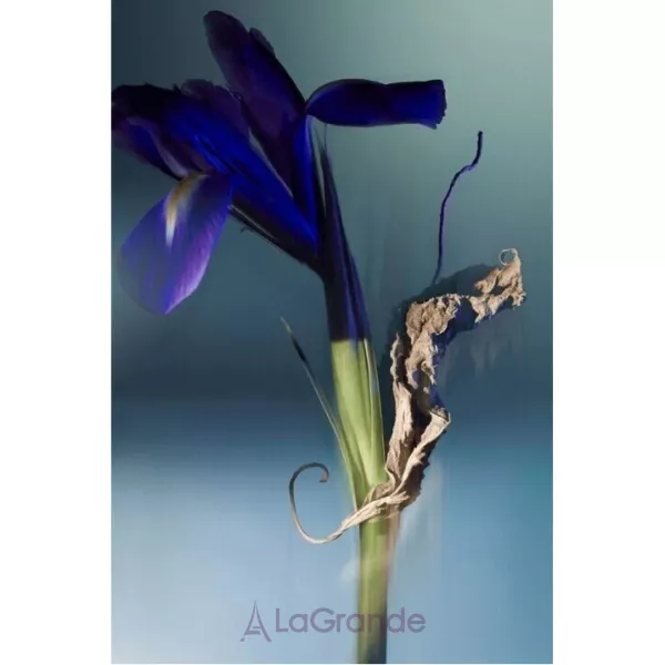 Louis Vuitton Orage ��������������� ���� (�������)