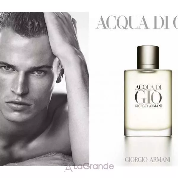 Armani Acqua di Gio Men ����������-���