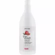 Glossco Grandma's Remedies Pomegranate Shampoo     